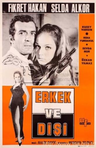 Erkek ve Dişi (1966)