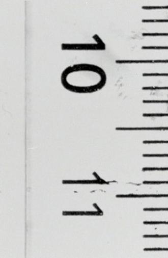 Distance Film (2020)