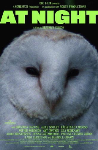 At Night (2026)