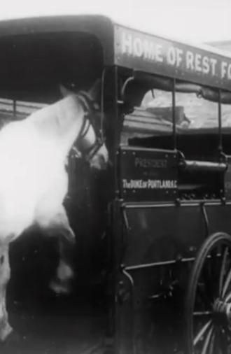 Horses' New Year's Feast (1913)