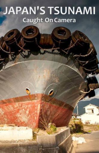 Japan's Tsunami: Caught on Camera (2011)