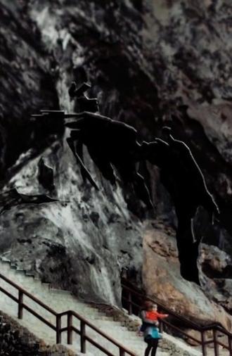 The Visitors (2017)