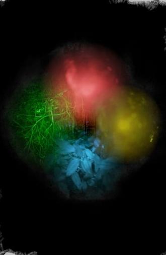 Trapallada (Saudade) (2025)