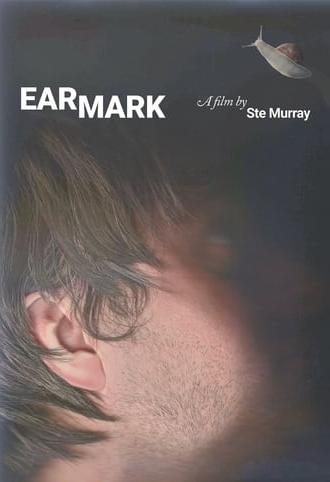 Earmark (2024)