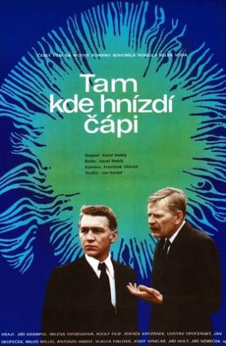 Tam kde hnízdí čápi (1976)