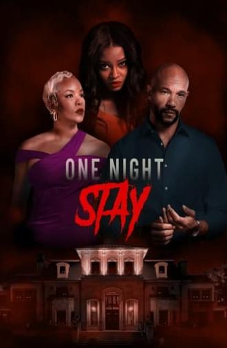 One Night Stay (2024)