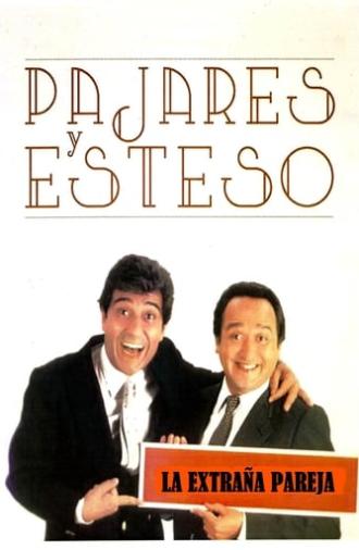 La extraña pareja: Pajares y Esteso (2008)