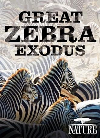 Nature: Great Zebra Exodus (2013)