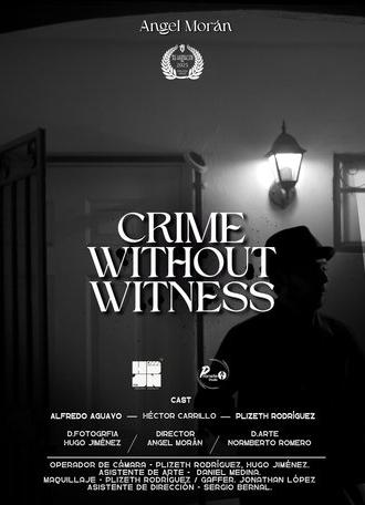 Crime Without Witness (2025)