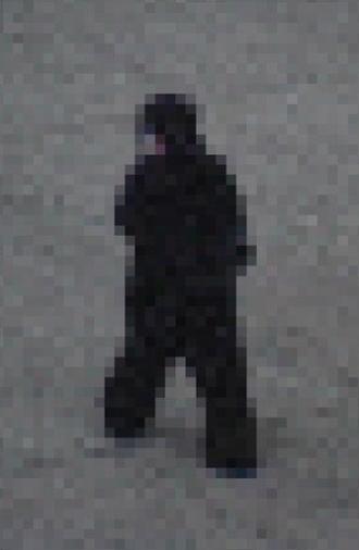 Gorilla Gorilla (2026)