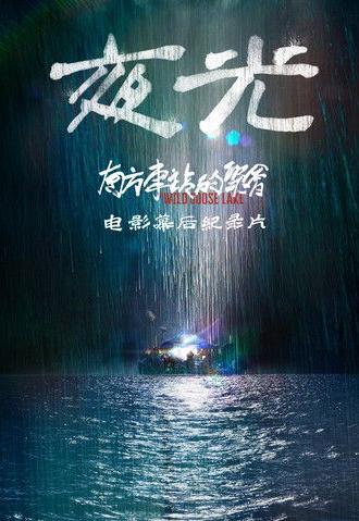 Night Light: Making of The Wild Goose Lake (2019)