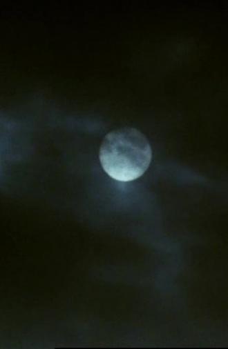 Blind Light (2007)