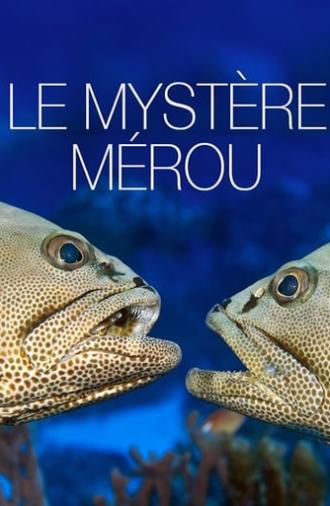 The Grouper Mystery (2015)