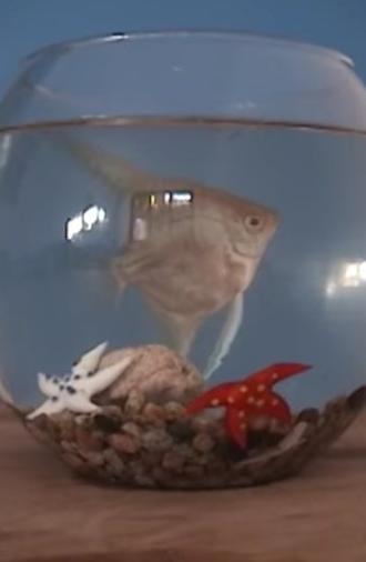 El gabinete del doctor mojado - Piloto CNTV (2002)