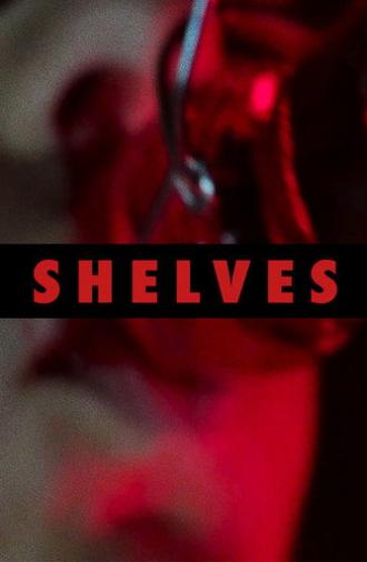Shelves (2016)
