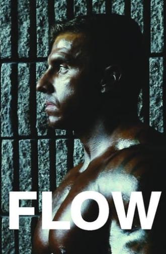 Flow (2012)