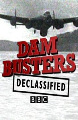 Dam Busters Declassified (2010)