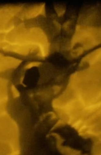 Elevation (1989)