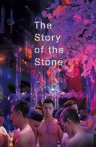 The Story of the Stone (2018)