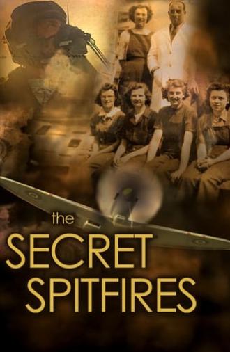 The Secret Spitfires (2017)