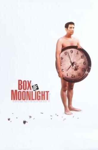 Box of Moonlight (1996)