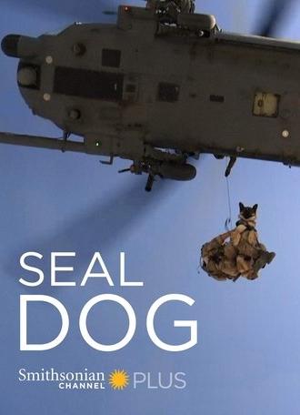 SEAL Dog (2015)