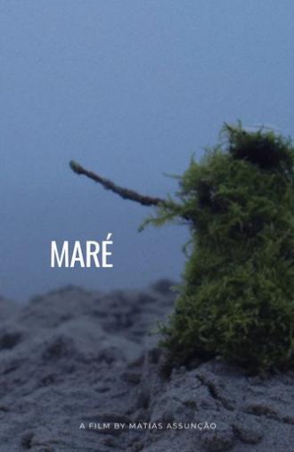 Maré (2026)
