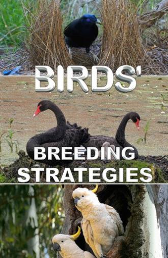 Birds' Breeding Strategies (2022)