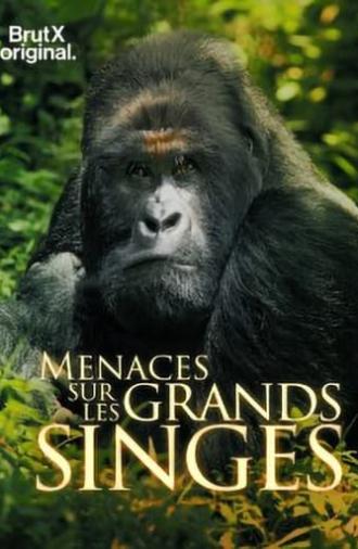 En danger : menaces sur les grands singes (2021)