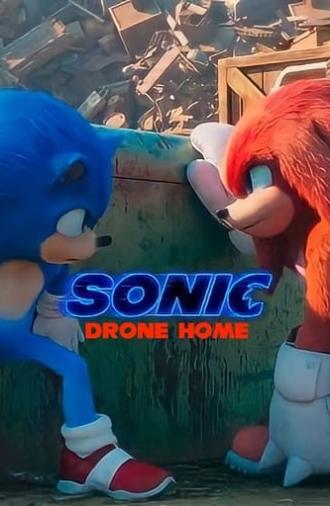 Sonic Drone Home (2022)