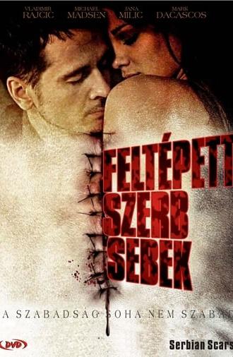 Serbian Scars (2009)