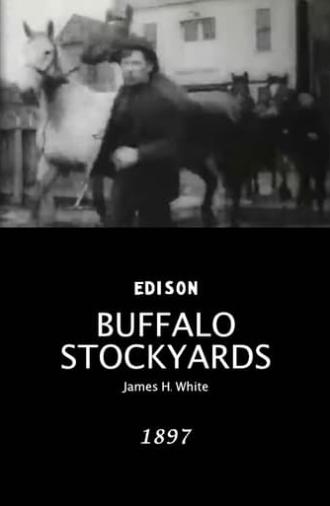 Buffalo Stockyards (1897)