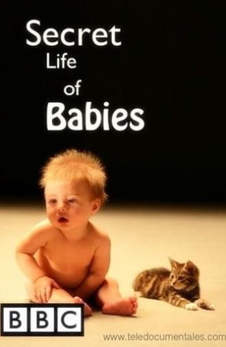 Secret Life of Babies (2014)