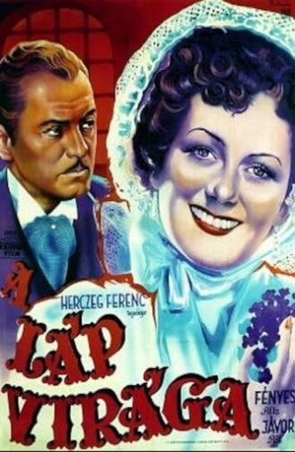 A láp virága (1942)