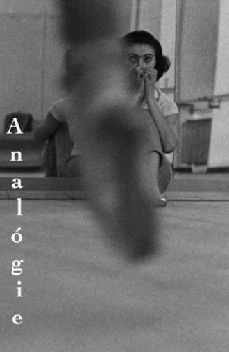 Analógie (1965)