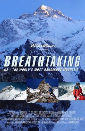 Breathtaking K2: The World's Most Dangerous Mountain (2020)