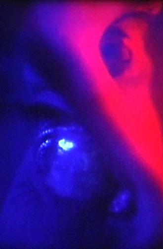 Make Visible the Ghost (2013)