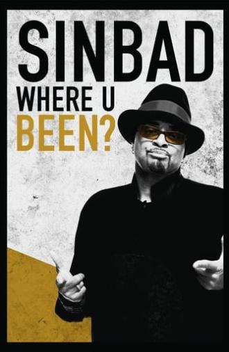 Sinbad: Where U Been? (2010)