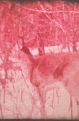 The Changing Forest (1958)
