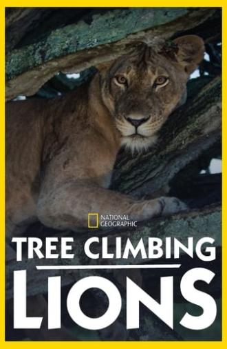 Tree Climbing Lions (2018)