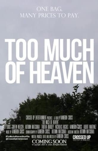 Too Much of Heaven (2024)