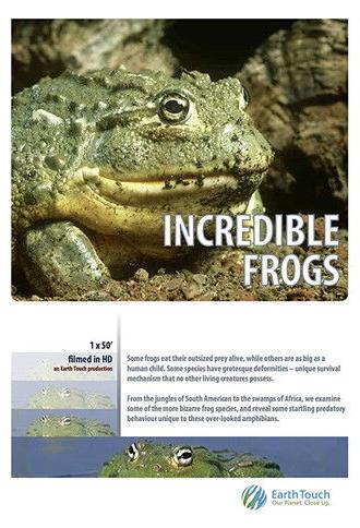 Incredible frogs (2015)