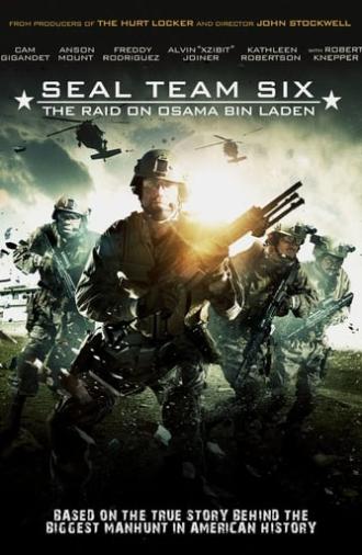 Seal Team Six: The Raid on Osama Bin Laden (2012)