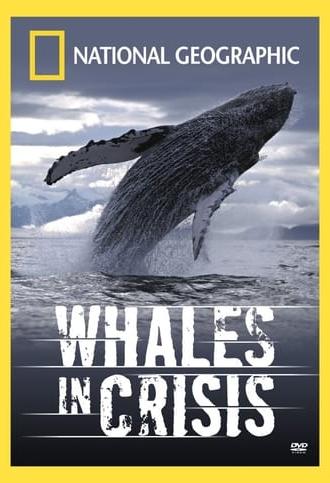 Whales in Crisis (2004)