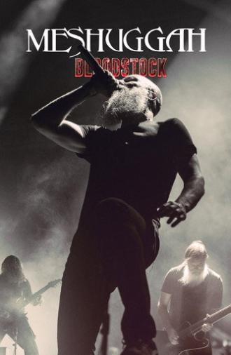 Meshuggah: Bloodstock Open Air 2023 (2023)