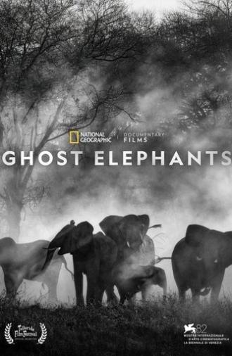 Ghost Elephants (2025)