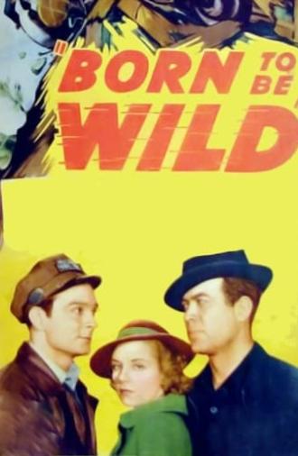 Born to Be Wild (1938)