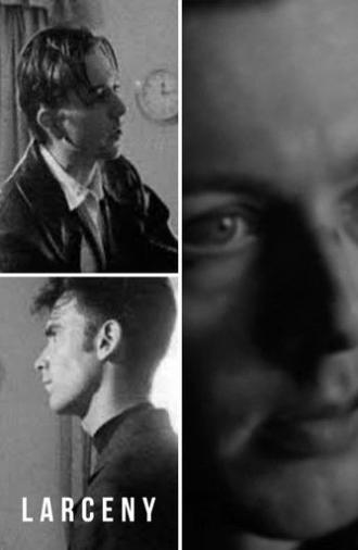 Larceny (1996)
