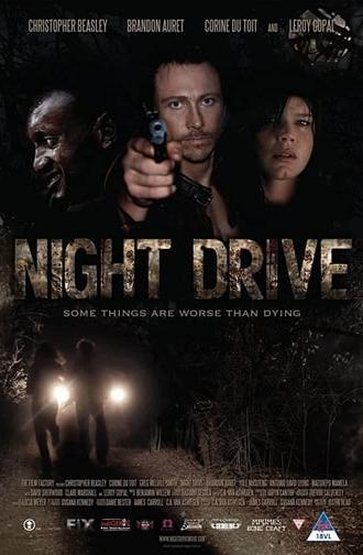 Night Drive (2010)