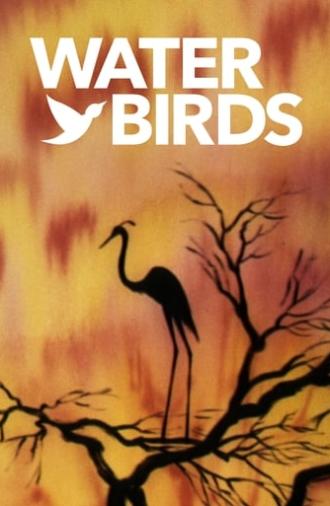 Water Birds (1952)